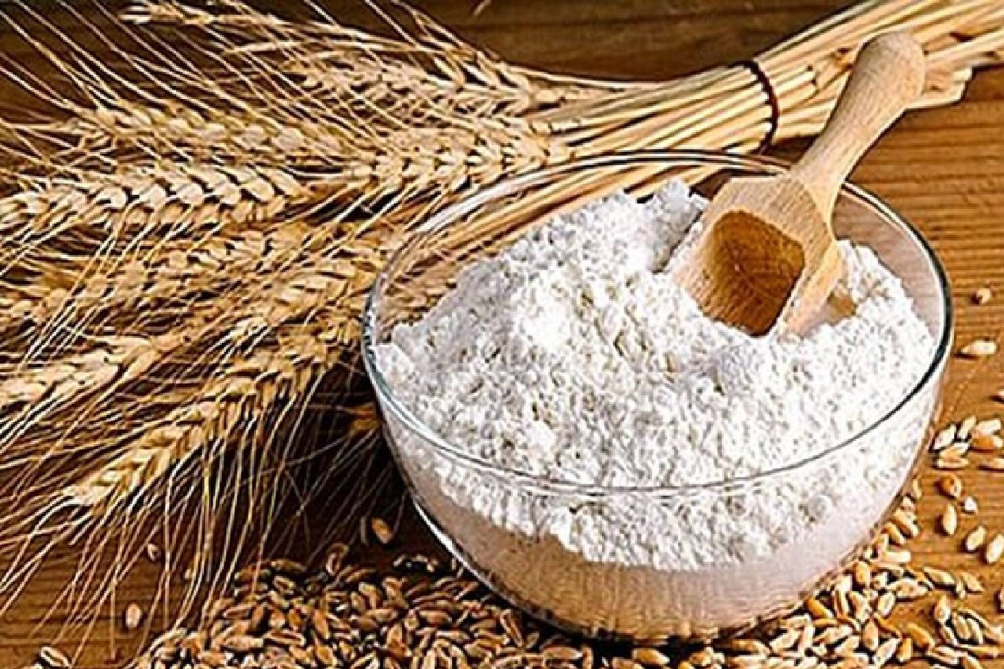 বছরের পর বছর কোনও পোকা ধারেপাশে ঘেঁষতে ভয়ে কাঁপবে, শুধু দিয়ে রাখুন এই ঘরোয়া জিনিস