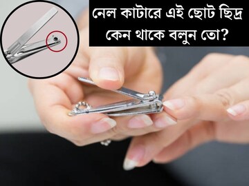 নেল কাটারের পেছনে এই ছোট ছিদ্র কেন থাকে বলুন তো? ৯৯% লোকজনই জানেন না এর কাজ