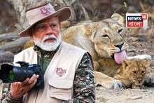গিরে প্রধানমন্ত্রী, হাতে ডিএসএলআর, দেখলেন পশুরাজ, দেখুন সাফারির জমজমাট ফটো