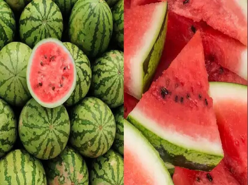 বাজিয়ে দেখুন- তরমুজকে হালকাভাবে চাপড় দিন। যদি ভিতর থেকে ফাঁপা আওয়াজ আসে, তাহলে বুঝবেন এটি পাকা এবং মিষ্টি হবে। ফিকে বা কাঁচা তরমুজ ভারী আওয়াজ দেয়।