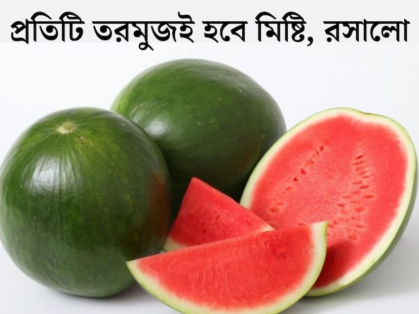 ফলে ভরা গ্রীষ্ণ। আম, জাম, লিচু থেকে তরমুজ, গরমে ফলের মজা আরও বাড়ে। সময়ের আগেই হাজির হয়েছে গ্রীষ্ণ। তাই বসন্তের ভ&#x200d;্যাপসা গরমেই চাহিদা বাড়ছে তরমুজের। 