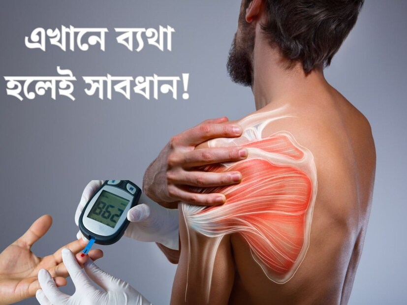 ভারতে ক্রমবর্ধমান ডায়াবেটিসে আক্রান্ত রোগীদের সংখ&#x200d;্যা। দিনে দিনে প্রায় প্রতিটি পরিবারেই ঘরে থাবা বসাচ্ছে মধুমেহ রোগ। ভুলভাল খাদ&#x200d;্যাভ&#x200d;্যাস থেকে শুরু করে বেনিয়ম জীবনযাপন, একাধিক কারণে ক্রমশ বাড়ছে এই রোগ। 