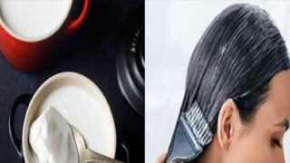 চুলের যত্নে টক দইয়ের ব্যবহার চুলের যত্নে টক দইয়ের ব্যবহার