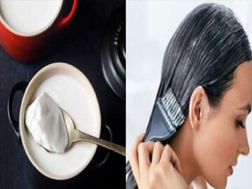চুলের যত্নে টক দইয়ের ব্যবহার