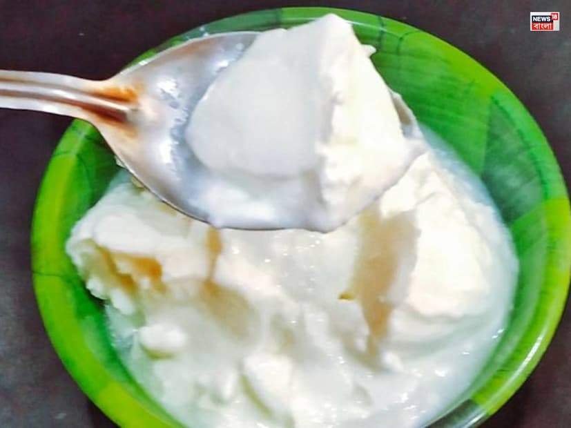 এই ছোট্ট ট্রিকটি একবার চেষ্টা করলেই আপনি প্রতিবারই ঘরে স্বাস্থ্যকর ও সুস্বাদু দই তৈরি করতে পারবেন। সকালে ব্রেকফাস্ট হোক বা দুপুরের লাঞ্চ— বাড়িতে বানানো দই আপনার খাবারকে করবে সম্পূর্ণ ও পুষ্টিকর। তাই আর দেরি না করে, আজই ব্যবহার করে দেখুন এই ট্রিক!