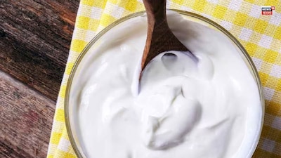 শীতে দই খাবেন না খাবেন না?