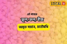 দাঁতের ব্যথা থেকে সাধারণ জ্বরের জন্য 'অমৃত'! শরীর থেকে নানা দূর্বলতা ভ্যানিল করবে