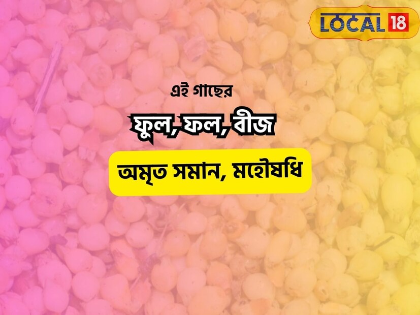 কারণ এতে উপস্থিত অ্যান্টি-অক্সিডেন্ট বৈশিষ্ট্য আমাদের অনেক গুরুতর রোগ থেকে রক্ষা করতে কার্যকর। আয়ুর্বেদে এটি একটি ঔষধি ফল হিসেবে বিবেচিত, তাই আসুন আয়ুর্বেদ বিশেষজ্ঞের কাছ থেকে জেনে নিই এই ফলটি আমাদের জন্য কতটা উপকারী।