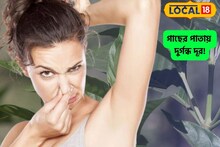 রাস্তার পাশে হয় বলে অবহেলা করবেন না,ঘামের দুর্গন্ধ দূর করবে এই পাতা,কাশি-সর্দিও পালাবে