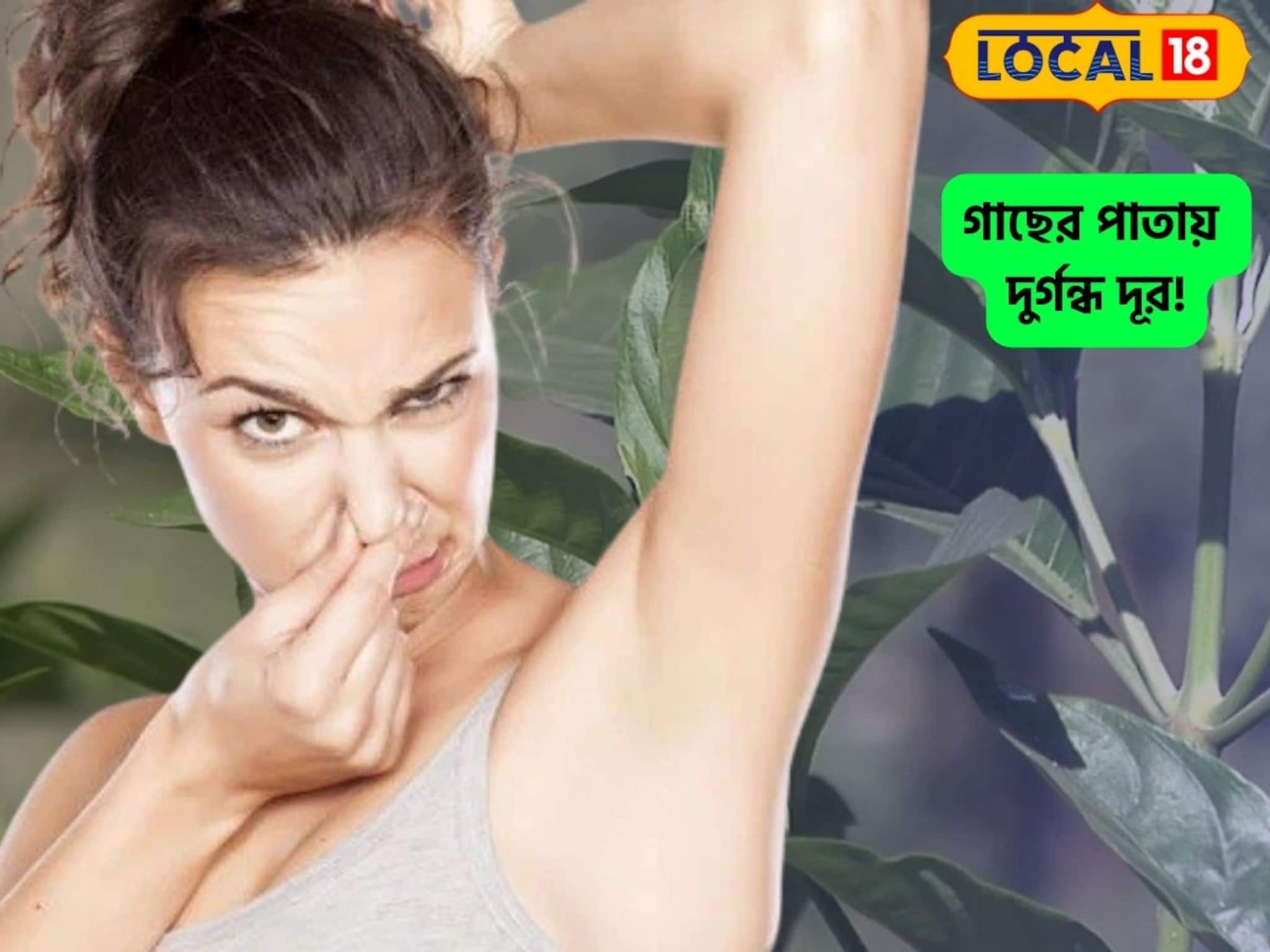 রাস্তার পাশে হয় বলে অবহেলা করবেন না,ঘামের দুর্গন্ধ দূর করবে এই পাতা,কাশি-সর্দিও পালাবে