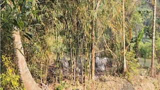 ফলতায় এই জায়গা থেকেই উদ্ধার হয় মহিলার দেহ৷ 