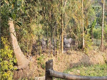 ফলতায় এই জায়গা থেকেই উদ্ধার হয় মহিলার দেহ৷ 