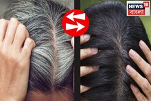 ১ চামচে সাদা চুল 'কয়লা'র মতো কুচকুচে কালো...! হেঁসেলের সস্তার 'এই' মশলাই করবে 'ম্যাজিক'!