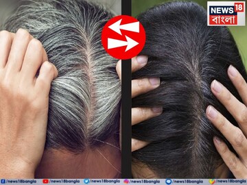 ১ চামচে সাদা চুল 'কয়লা'র মতো কুচকুচে কালো...! হেঁসেলের সস্তার 'এই' মশলাই করবে 'ম্যাজিক'!
