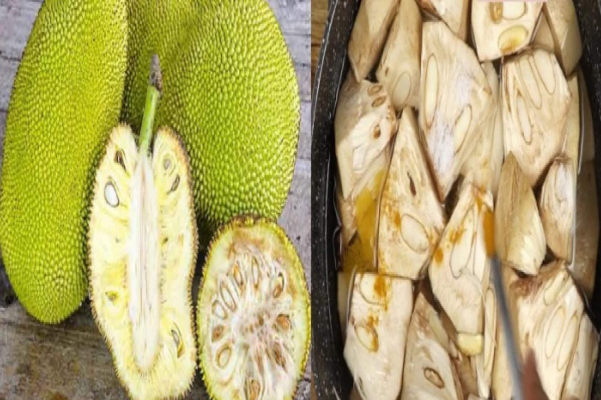 এঁচোড় অপূর্ব খেতে-উপকারীও, কিন্তু ভুলেও কারা ছোঁবেন না? বড় ক্ষতির আগে অবশ্যই জানুন