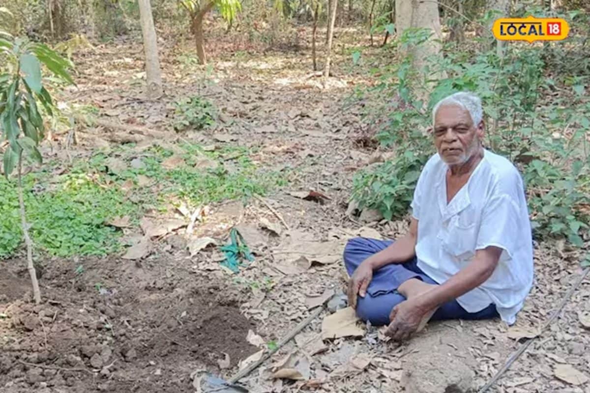 Natural Farming: অবসরপ্রাপ্ত শিক্ষক চাষ করছেন এই গাছের, মাত্র ১৫টি বিক্রি করেই তাঁর আয় ১৬ লক্ষ টাকা!