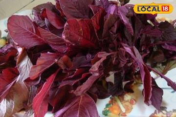 গরম ভাতে 'রঙিন' শাক! ক্যানসার আটকানোর 'মাস্টার', ডাক্তার যা বলে দিলেন জানুন