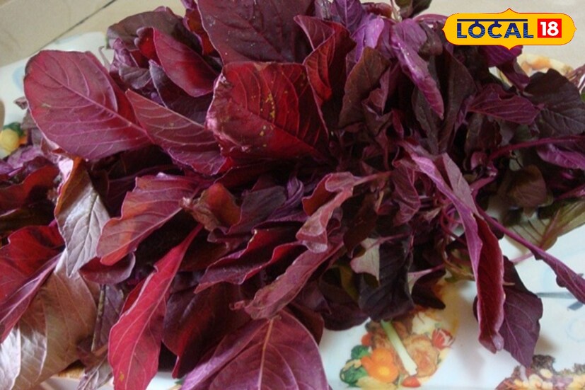 লাল শাকের অ্যান্টি অক্সিডেন্ট ক্যানসার প্রতিরোধ করে। এতে উপস্থিত আয়রন, ম্যাগনেসিয়াম, ফসফরাস, ভিটামিন ই, পটাশিয়াম এবং ভিটামিন সি শরীরে উপস্থিত একাধিক টক্সিক উপাদান দূর করে। সেইসঙ্গে ক্যানসার হওয়া রোধ করে।