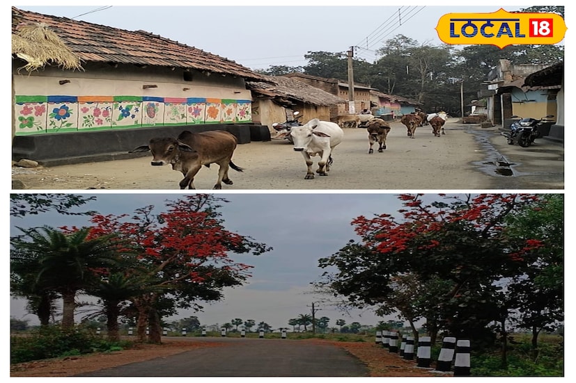 শুশুনিয়া পাহাড়ের আশেপাশে রয়েছে থাকার একাধিক জায়গা। মরুতবাহা ইকোপার্ক থেকে শুরু করে, যুব আবাস। ৩০০ টাকা থেকে শুরু করে রয়েছে রাত্রি বাসের সুযোগ।
