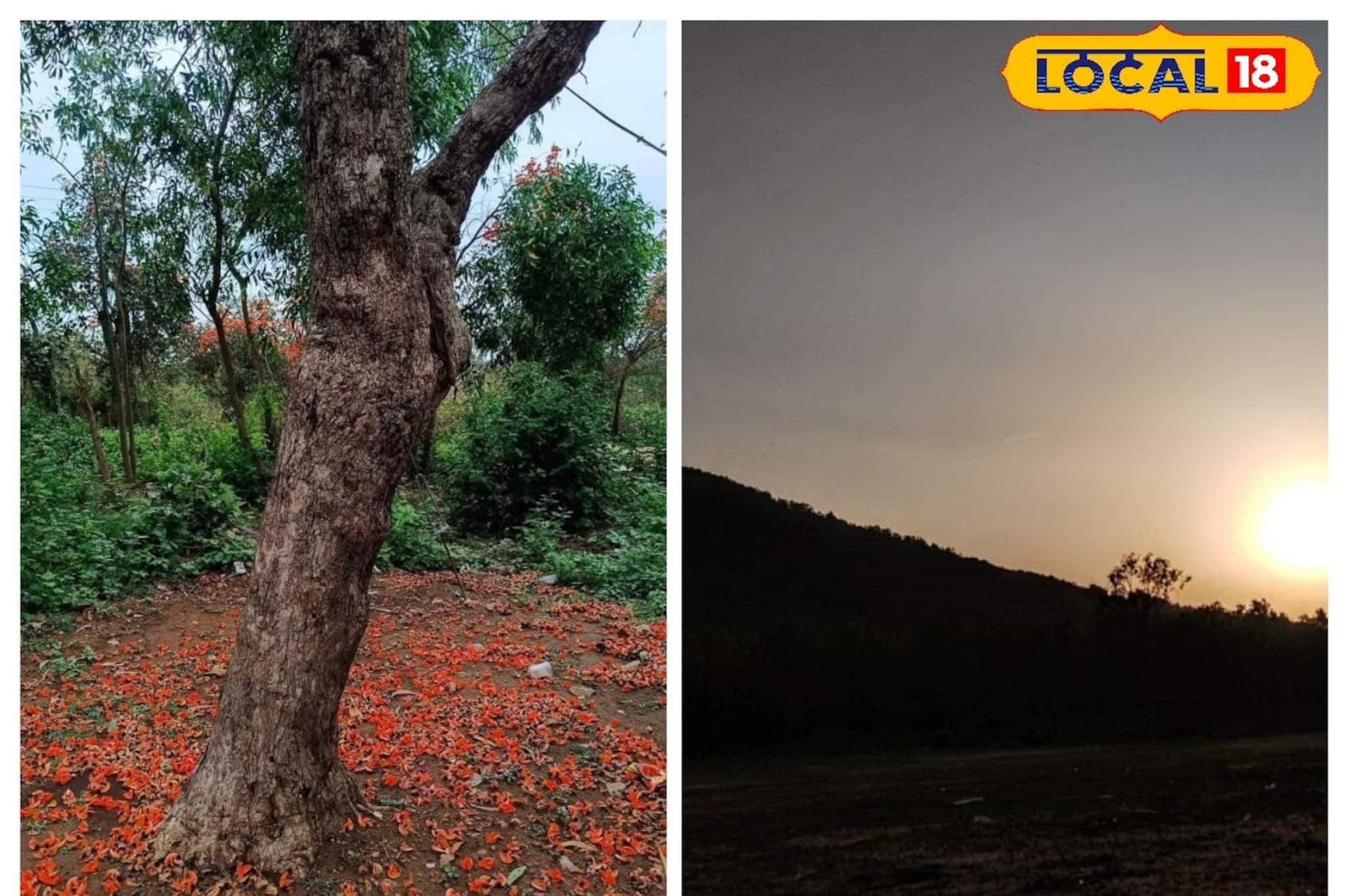 দোলে পুরুলিয়া নয়, যান এই পলাশ ফুলের গ্রামে! খরচ মাত্র ৩০০ টাকা! মায়াবী রাত কাটান