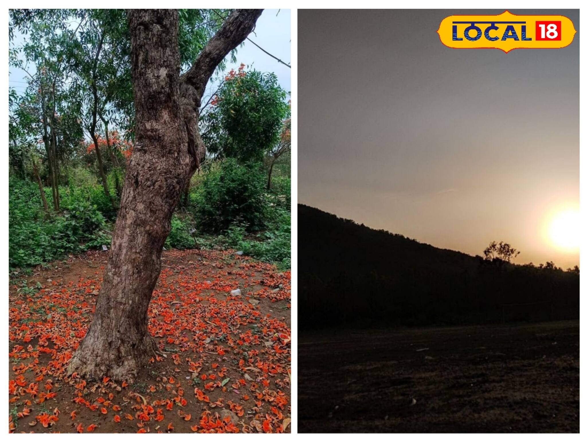 দোলে পুরুলিয়া নয়, যান এই পলাশ ফুলের গ্রামে! খরচ মাত্র ৩০০ টাকা! মায়াবী রাত কাটান