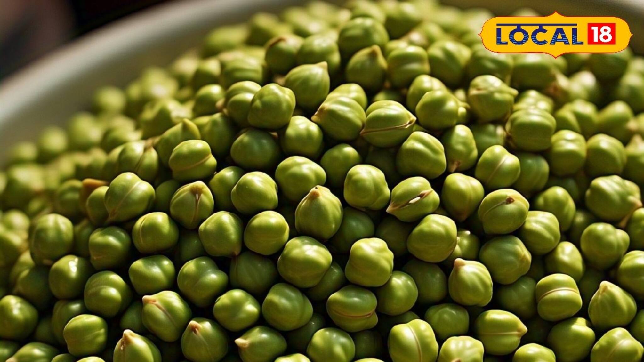 Green Chickpeas Benefits: সকালে ভেজানো সবুজ ছোলা খান! বহু জটিল রোগ পালাবে! উপকার জানলে রোজ খাবেন