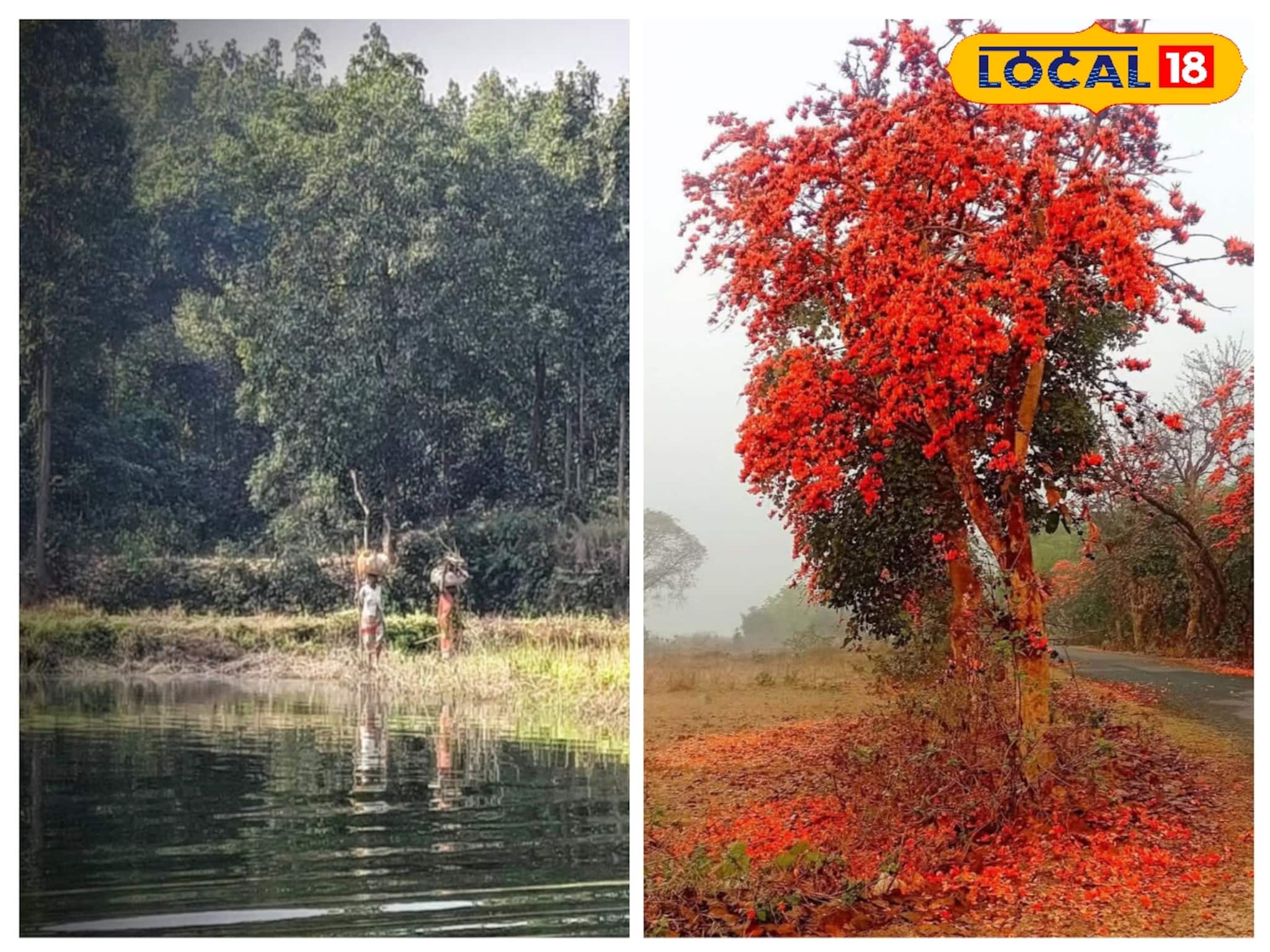পলাশে-পলাশে মাততে চান? বাঁকুড়ার এই ৫ জায়গায় ঘুরে আসুন