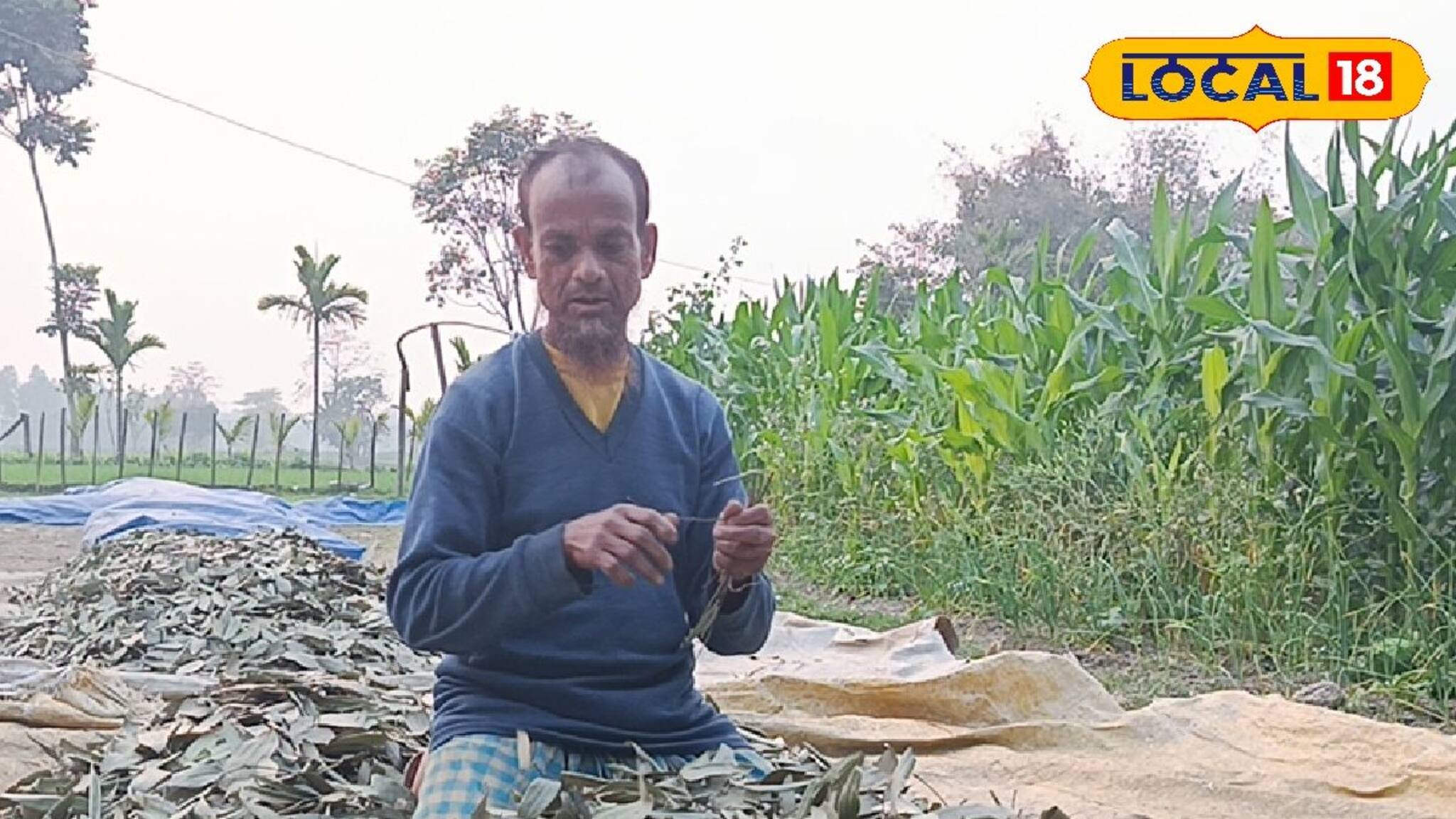 New Business Ideas: শুকনো পাতা বিক্রি করেই হচ্ছে বিপুল আয়! এই ব্যবসার রহস্য জানলে অবাক হবেন নিশ্চিত