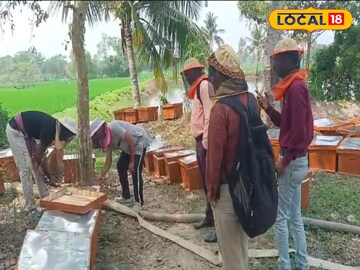  মধু