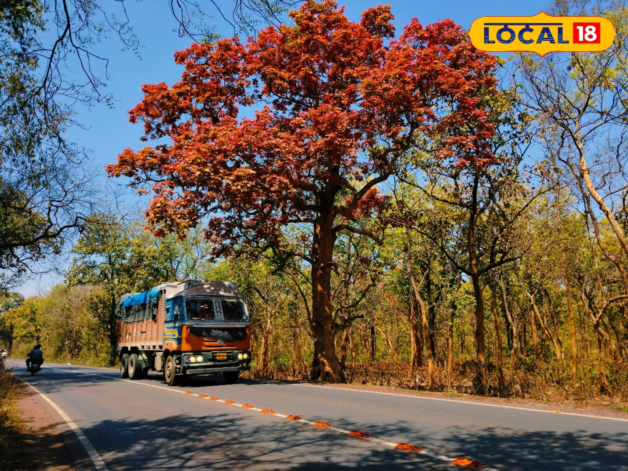 Jhargram Tourism: তোমার অশোকে, কিংশুকে...রাঙা ফাগুনের হাওয়ায় অকারণেই সুখী হতে আসুন অরণ্যসুন্দরী ঝাড়গ্রামে