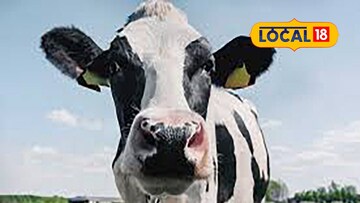 প্রতীকী