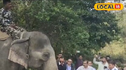 শান্ত করার চেষ্টা চলছে হাতিটিকে 