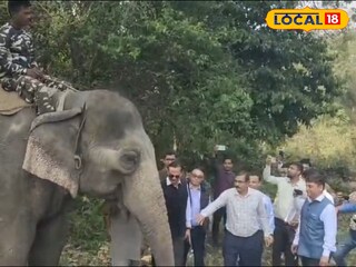 শান্ত করার চেষ্টা চলছে হাতিটিকে 