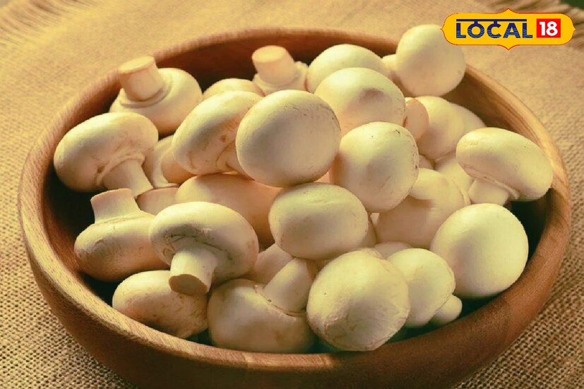 মাশরুম হল ভিটামিন-D এর একটি দারুণ উদ্ভিদ ভিত্তিক উৎস। বিশেষ করে যখন বোতাম এবং শিতাকে মাশরুমকে রোদে শুকানো হয়। তখন তাতে ভিটামিন-D তৈরি হয়।