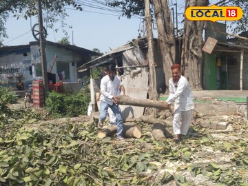 গাছ কাটার প্রতিবাদ গাছ কাটার প্রতিবাদ