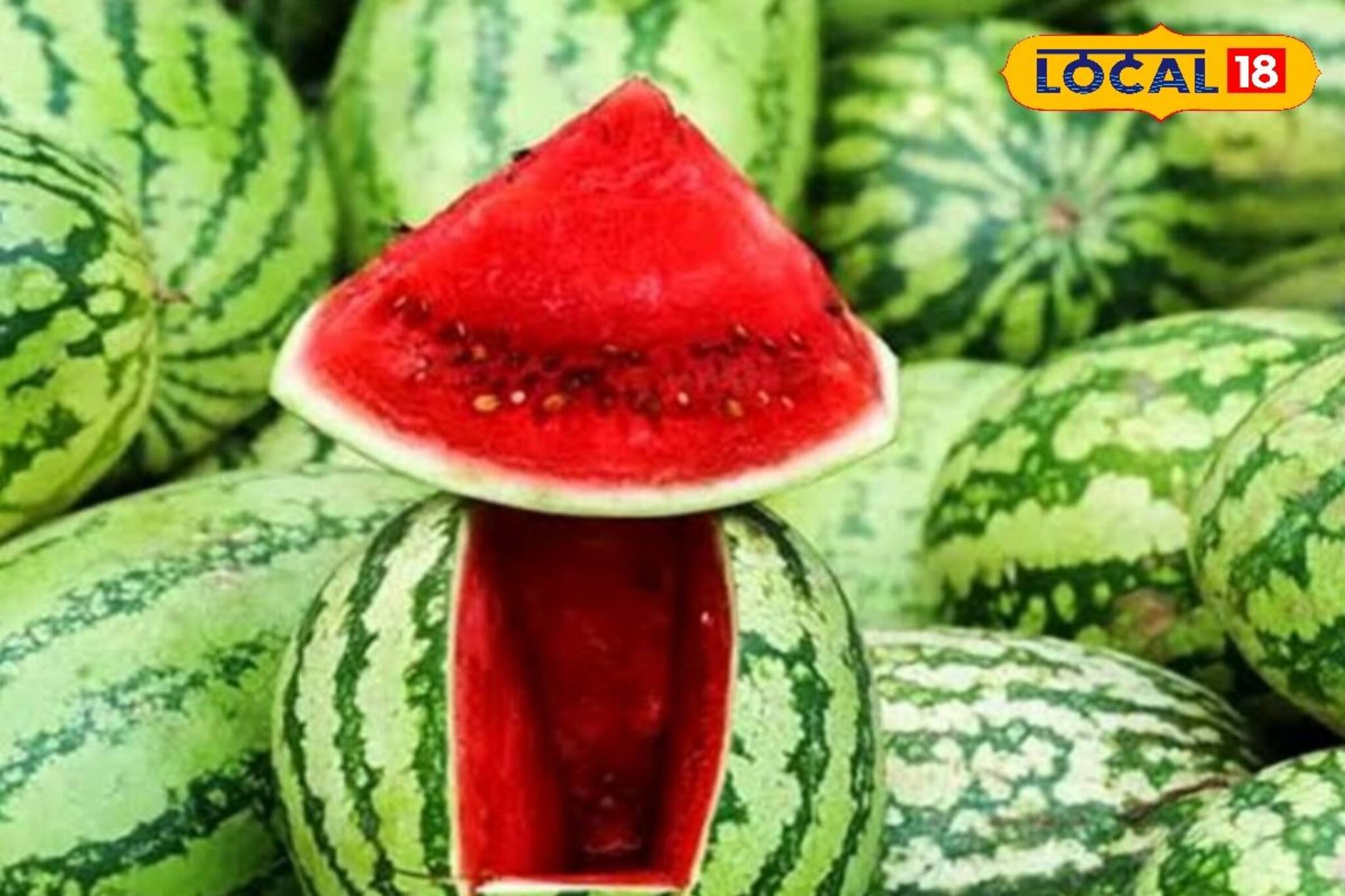 বাজারে কীভাবে বুঝবেন তরমুজ লাল না ফ্যাকাসে, মিষ্টি না পানসে? রইল সহজ টিপস