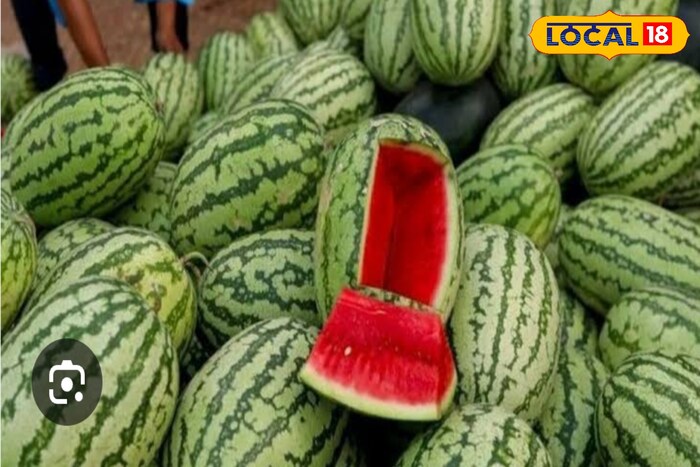 Watermelon: বাজারে কীভাবে বুঝবেন তরমুজ লাল না ফ্যাকাসে, মিষ্টি না পানসে? রইল সহজ টিপস