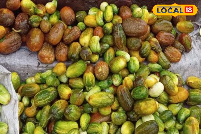Constipation & Ulcer Control: আলসার, কোষ্ঠকাঠিন্য, বুকজ্বালা, পেটফাঁপা, অ্যাসিডিটি ধ্বংস নিমেষে! ডায়াবেটিসেও মহৌষধ এই সস্তার সুপারফুড Constipation & Ulcer Control: আলসার, কোষ্ঠকাঠিন্য, বুকজ্বালা, পেটফাঁপা, অ্যাসিডিটি ধ্বংস নিমেষে! ডায়াবেটিসেও মহৌষধ এই সস্তার সুপারফুড