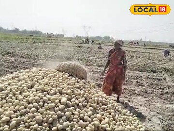 মাঠেই