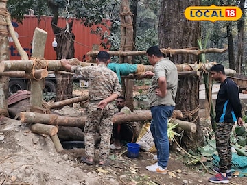 North Bengal News: হস্তিশাবকের চিকিৎসায় উত্তরবঙ্গে থাইল্যান্ডের পশুচিকিৎসকদের বিশেষ দল! জঙ্গলের ভেতরেই চলছে শুশ্রূষা North Bengal News: হস্তিশাবকের চিকিৎসায় উত্তরবঙ্গে থাইল্যান্ডের পশুচিকিৎসকদের বিশেষ দল! জঙ্গলের ভেতরেই চলছে শুশ্রূষা
