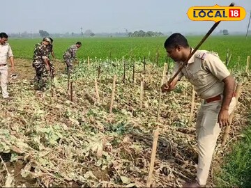 বেআইনি