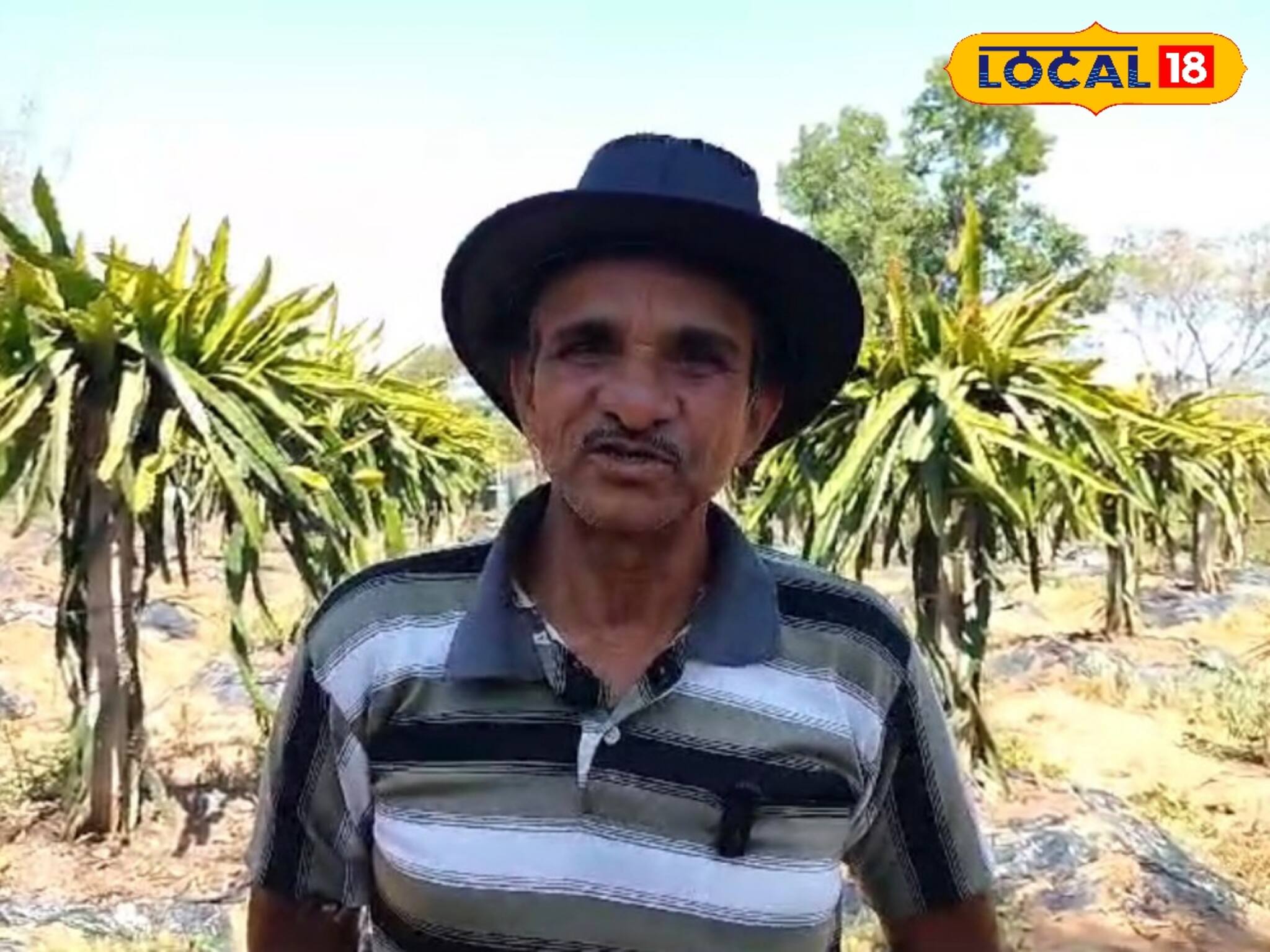 বাপ বাপ বলে পালাবে 'সুগার'! ইউটিউব দেখে একটি চাষ করেই মালামাল বাঁকুড়ার যুবক