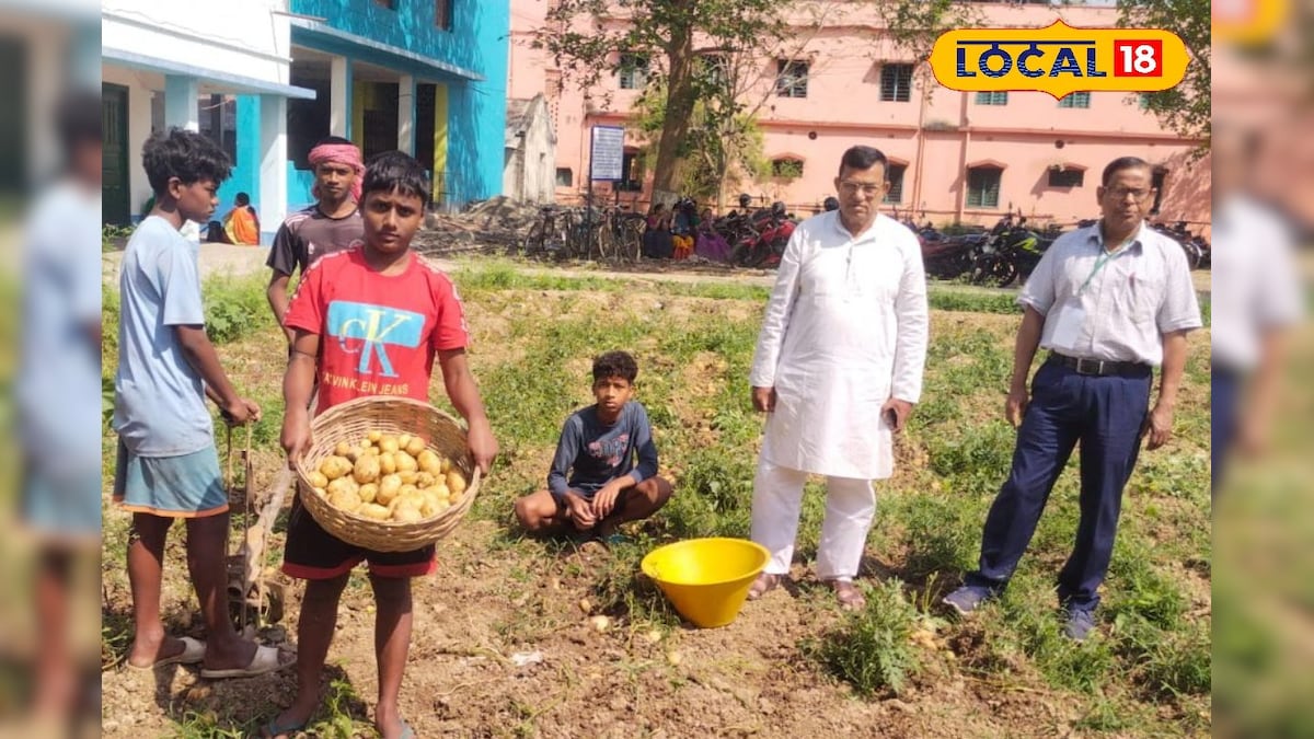 Hooghly News: ছাত্র-শিক্ষক হাতে হাত মিলিয়ে চাষবাস! স্কুলেই ফলছে আলু থেকে শাকসবজি Goghat High School students and teachers are farming together