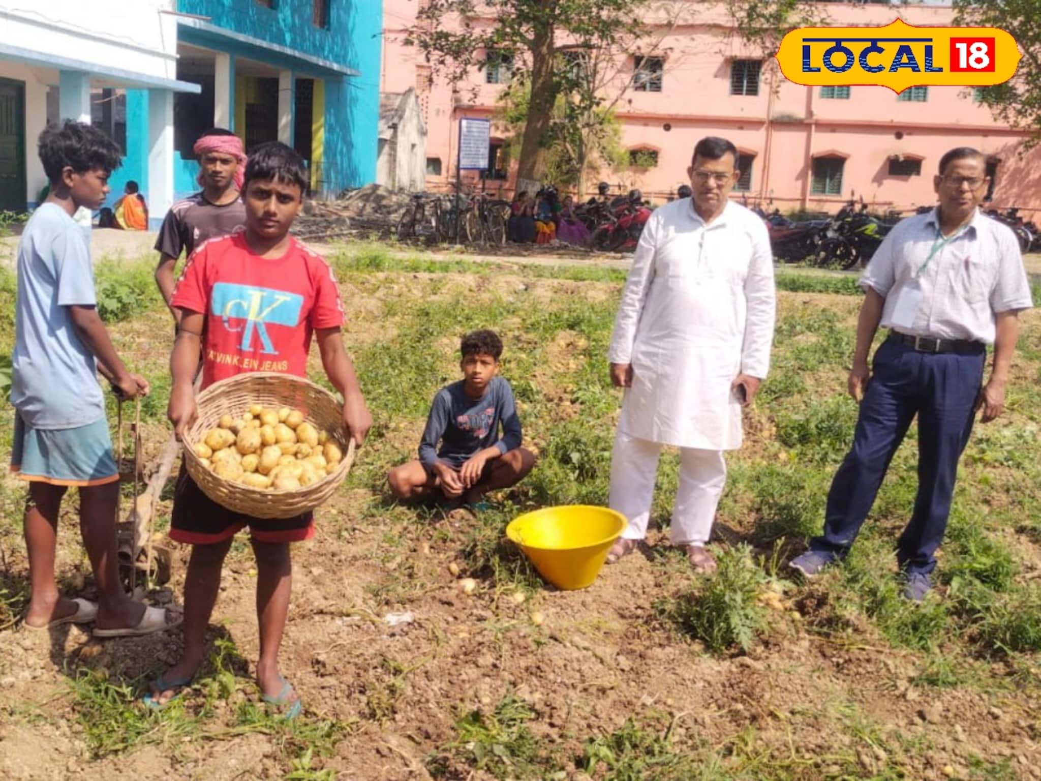 ছাত্র-শিক্ষক হাতে হাত মিলিয়ে চাষবাস! স্কুলেই ফলছে আলু থেকে শাকসবজি