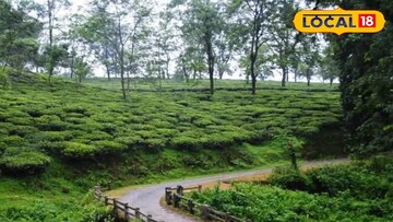 জলপাইগুড়ি