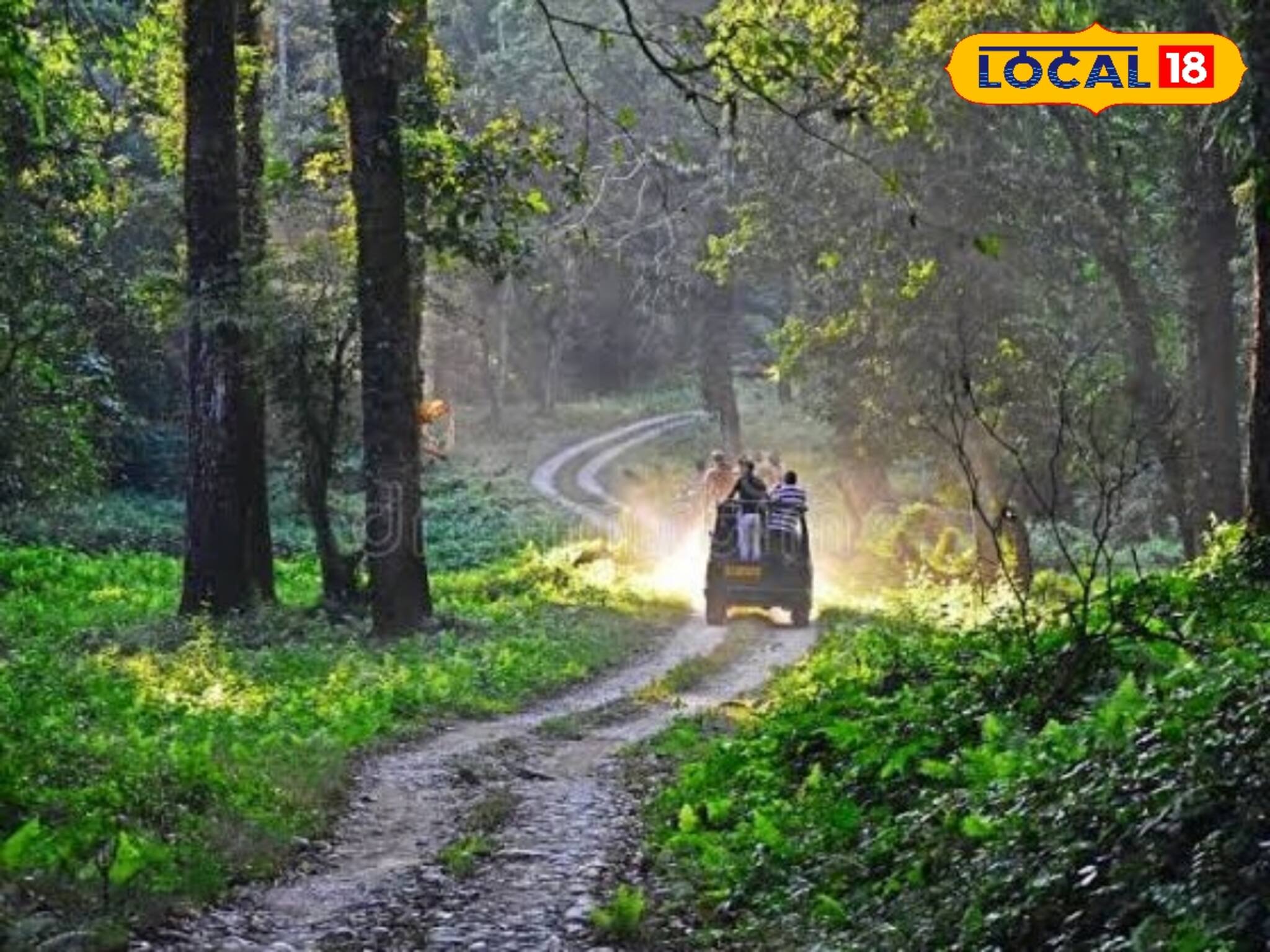 জঙ্গলের মধ্যে নিভৃতে রাত্রিবাস!দোলের ছুটিতে সঙ্গী উদ্যাম রোম্যান্স!'এটা'ই হোক দোলের ঠিকানা