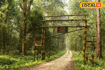 জঙ্গলের মধ্যে নিভৃতে রাত্রিবাস!দোলের ছুটিতে সঙ্গী উদ্যাম রোম্যান্স!'এটা'ই হোক দোলের ঠিকানা জঙ্গলের মধ্যে নিভৃতে রাত্রিবাস!দোলের ছুটিতে সঙ্গী উদ্যাম রোম্যান্স!'এটা'ই হোক দোলের ঠিকানা