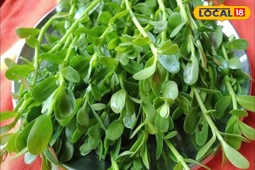 বুকে জমা কফ নরম করে তুলতে দারুন কার্যকর। নিউমোনিয়া সারাতে সাহায্য করে। রক্ত শুদ্ধ করে। এছাড়াও হৃদরোগ ডায়াবেটিসের মত সমস্যাতে উপকারী ভূমিকা পালন করে ব্রাহ্মী শাক।