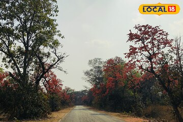 পলাশের আগুনে লাল! দোলে পুরুলিয়া প্ল্যান করছেন? 'এখানে' না গেলে বড় মিস পলাশের আগুনে লাল! দোলে পুরুলিয়া প্ল্যান করছেন? 'এখানে' না গেলে বড় মিস
