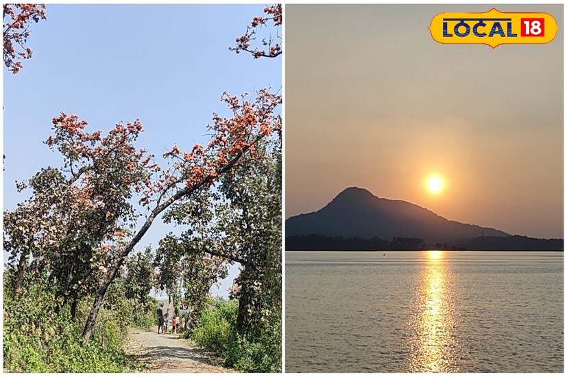 *এখানে থাকার জন্য বেশ কিছু ব্যবস্থা থাকলেও বসন্তের এই উৎসবের সময় এই সমস্ত জায়গা ফাঁকা পাওয়া সম্ভব না। নেই বললেই চলে। তাই অগ্রিম বুকিং থাকলে তবেই এখানে আসুন। তবে ডে আউটিং প্ল্যান অতি অবশ্যই করতে পারেন এই জায়গায়।